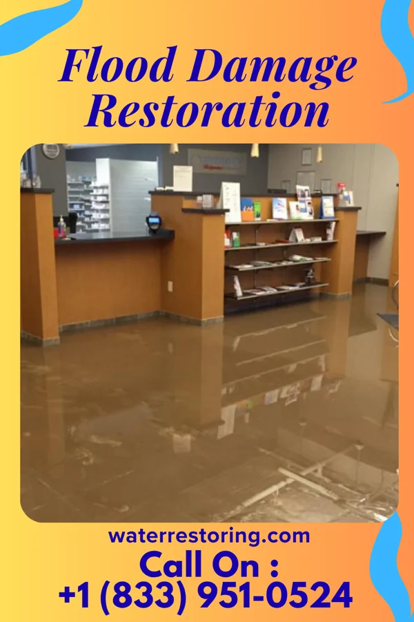 Flood Damage Restoration in Ridgeland, SC