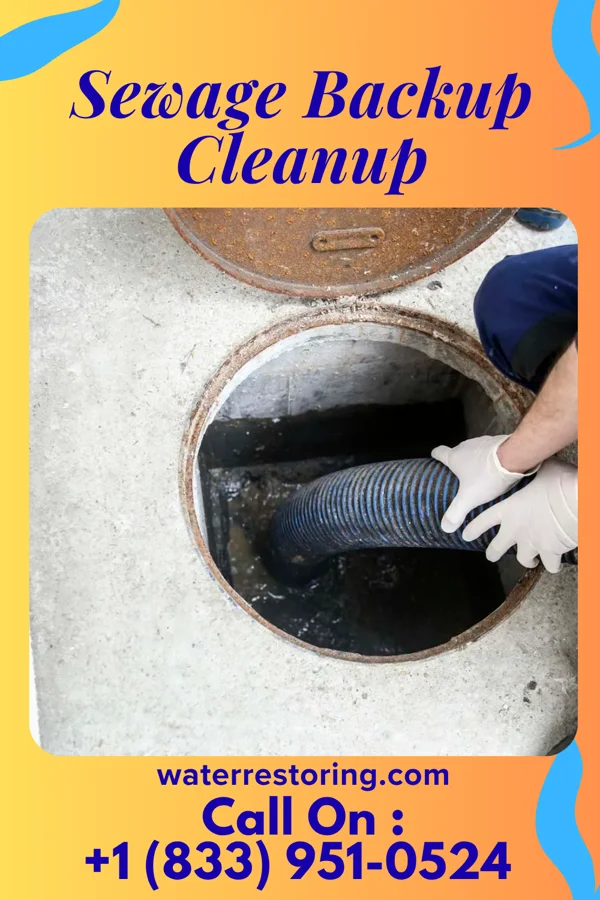 Sewage Backup Cleanup in Ridgeland, SC
