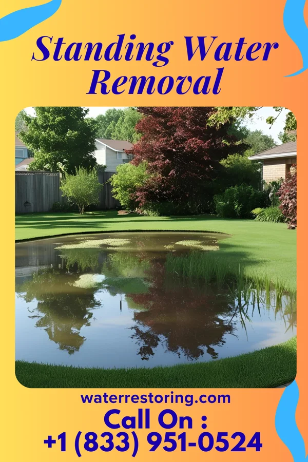 Standing Water Removal in Ridgeland, SC